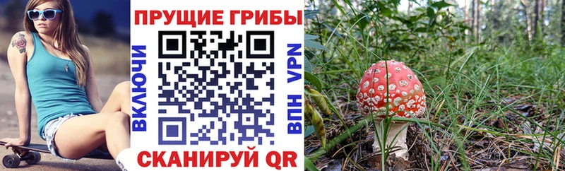 Псилоцибиновые грибы мухоморы  цена   Кемь 